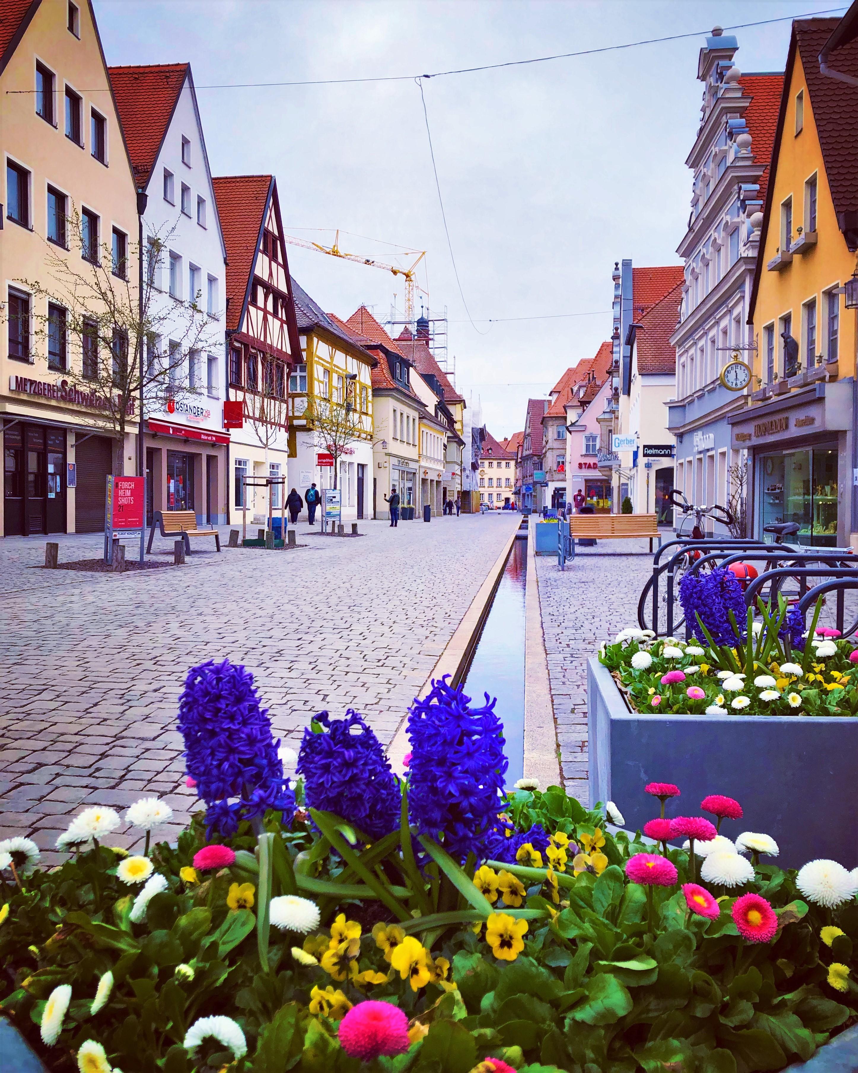 Frühlingsblumen in der Forchheimer Hauptstraße hat Lea-Verena Meingast eingefangen.