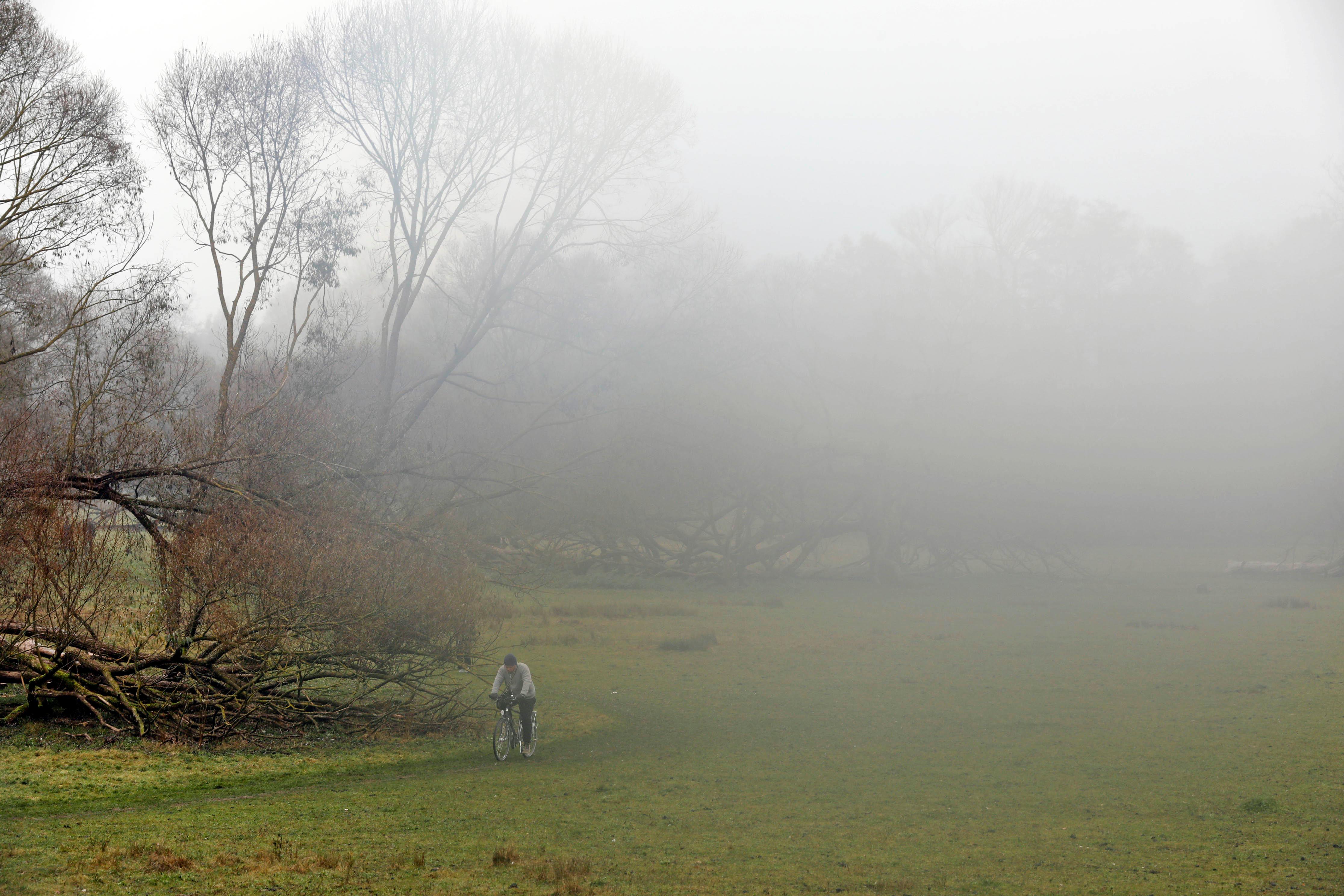 Nebel, Stille, und Melancholie: So präsentieren sich die Pegnitzauen im Nürnberger Osten an einem kühlen Herbstmorgen. Besonders gut genießt man diesen Blick vom Ebenseesteg aus. Die hölzerne Schlange wurde bereits 1908 erbaut, damit die Bewohner des Villenviertels am Ebensee trockenen Fußes zur Straßenbahn nach Erlenstegen gehen konnten. Die Sanierung frisst regelmäßig Löcher in die Stadtkasse, aber das Wort 'Abriss' würde niemand in den Mund nehmen.
