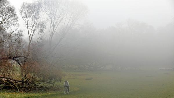 Nebel, Stille, und Melancholie: So präsentieren sich die Pegnitzauen im Nürnberger Osten an einem kühlen Herbstmorgen. Besonders gut genießt man diesen Blick vom Ebenseesteg aus. Die hölzerne Schlange wurde bereits 1908 erbaut, damit die Bewohner des Villenviertels am Ebensee trockenen Fußes zur Straßenbahn nach Erlenstegen gehen konnten. Die Sanierung frisst regelmäßig Löcher in die Stadtkasse, aber das Wort 'Abriss' würde niemand in den Mund nehmen.