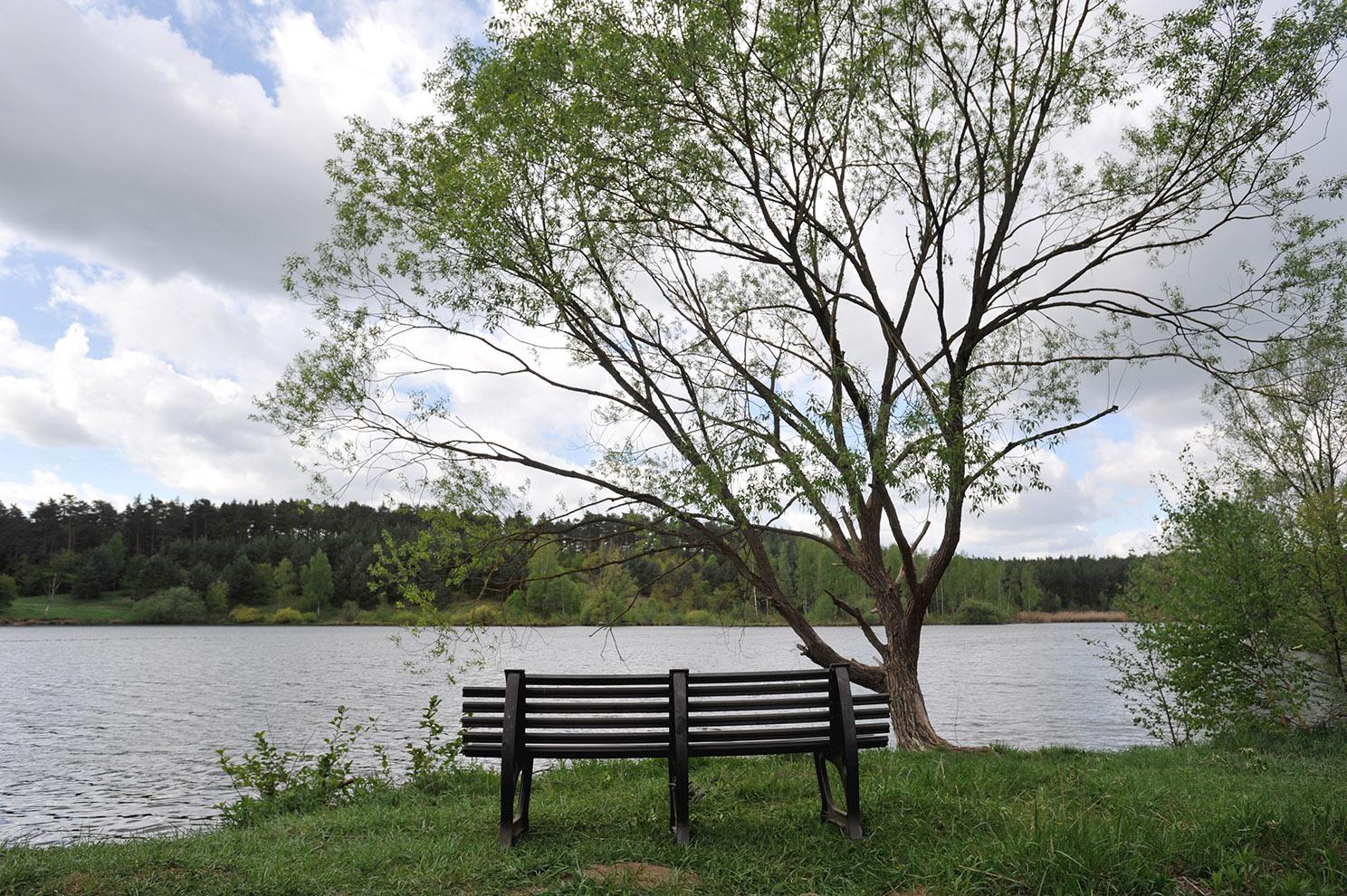 Das Nordufer des Großen Birkensees heute.