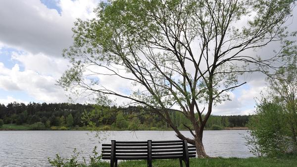 Das Nordufer des Großen Birkensees heute.
