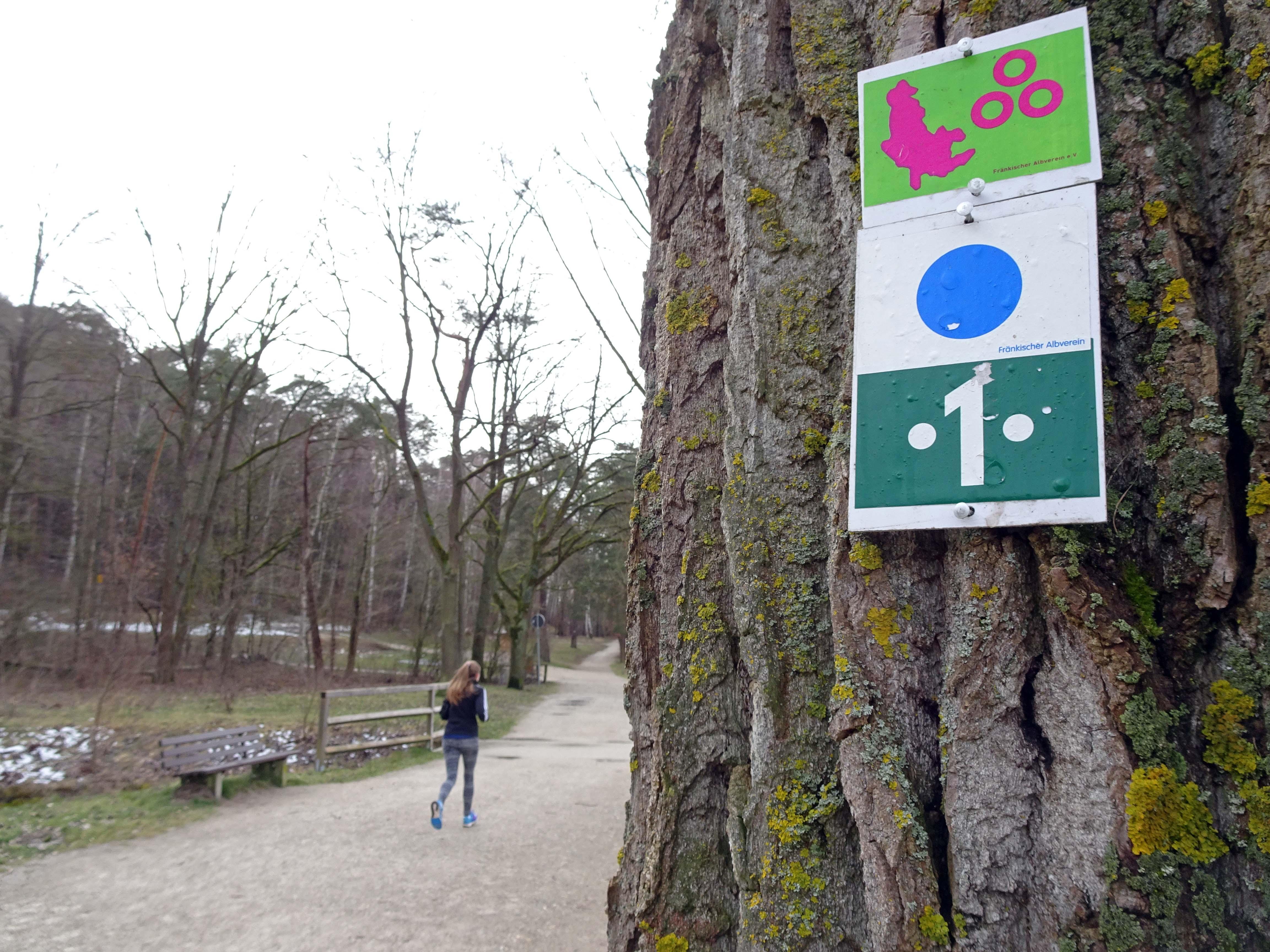 Auf der Karte sucht man möglicherweise vergeblich nach diesem Ort, Bethang. Diese "Stadt der Kultur und des Geistes" ist ein Kunstprojekt, das Karsten Neumann 2002 aus NürnbERg, FürTH und ErlANGen schuf. Zusammen mit dem Fränkischen Albverein wurde daraus ein Wanderweg in zehn Etappen. Rund um die Stadt kann man sich dort von begehbaren Kunstprojekten inspirieren lassen und dabei frische Herbstluft schnappen.