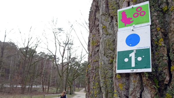 Auf der Karte sucht man möglicherweise vergeblich nach diesem Ort, Bethang. Diese "Stadt der Kultur und des Geistes" ist ein Kunstprojekt, das Karsten Neumann 2002 aus NürnbERg, FürTH und ErlANGen schuf. Zusammen mit dem Fränkischen Albverein wurde daraus ein Wanderweg in zehn Etappen. Rund um die Stadt kann man sich dort von begehbaren Kunstprojekten inspirieren lassen und dabei frische Herbstluft schnappen.