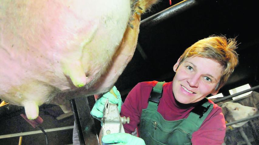 statt buroarbeit lieber in den kuhstall forchheim serlbach nordbayern