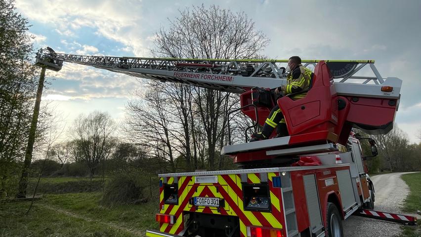 Neues Zuhause für Störche: Kurioser Feuerwehreinsatz in Forchheim
