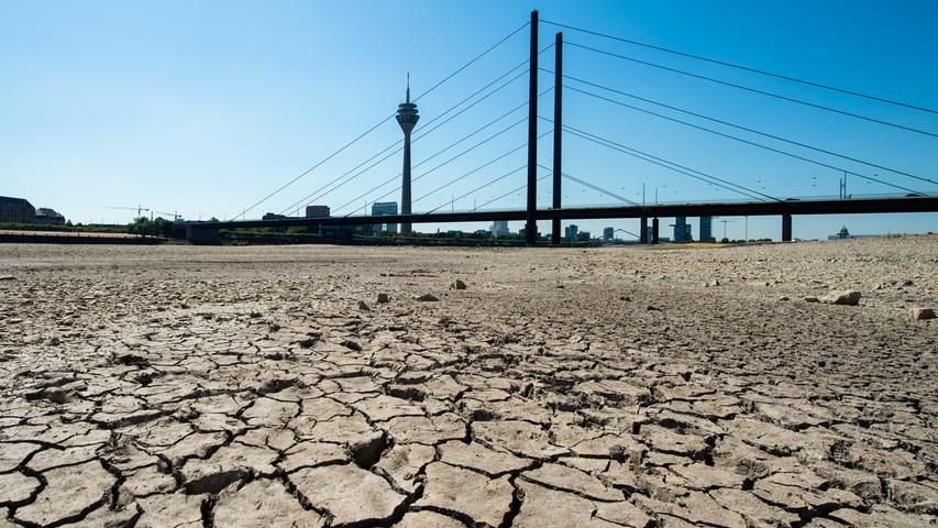 Der Rhein bei Düsseldorf im heißen Sommer 2018: Geht die Klimaerwärmung weiter, könnten solche Bilder bald jährlich zu sehen sein. Bestseller-Autor Frank Schätzing will, dass wir verhindern,