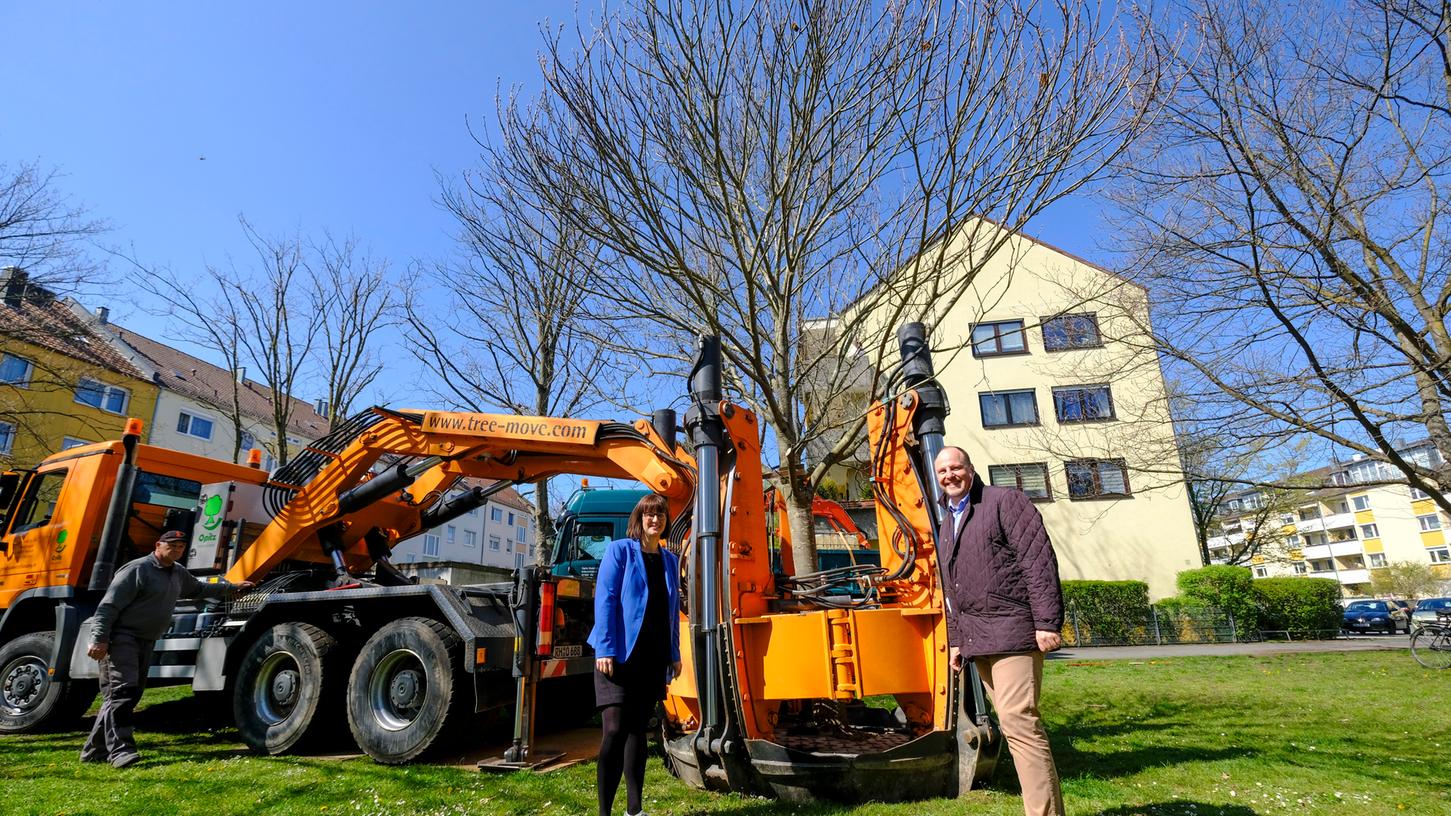 Umweltreferentin Britta Walthelm und Bürgermeister Christian Vogel beobachten die Großbaumverpflanzung im Marie-Juchacz-Park in Nürnberg-St. Leonhard.