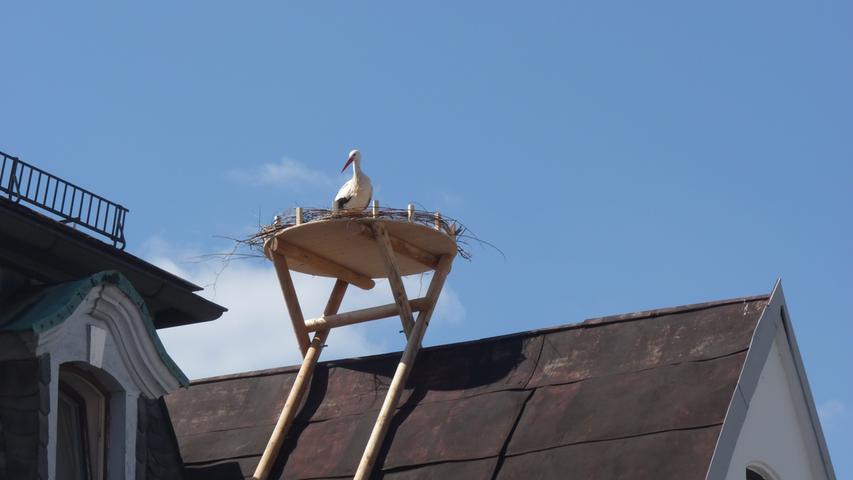 Der neue Horst auf dem Dach des Koukal-Hauses.