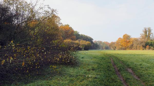 Nachhaltigkeit steht auf der Agenda der N-Ergie weit oben: E-Mobilität, Öko-Strom oder das Klimaschutz-Paket für die Metropolregion sind dabei wichtige Säulen. Aus der Kohle ist die N-Ergie übrigens schon 2005 ausgestiegen. Die N-Ergie Wasserschutzgebiete sind für viele Nürnbergerinnen und Nürnberger Plätze zur Naherholung. Zusammengenommen sind diese Gebiete größer als die Fläche des ganzen Stadtgebiets.
