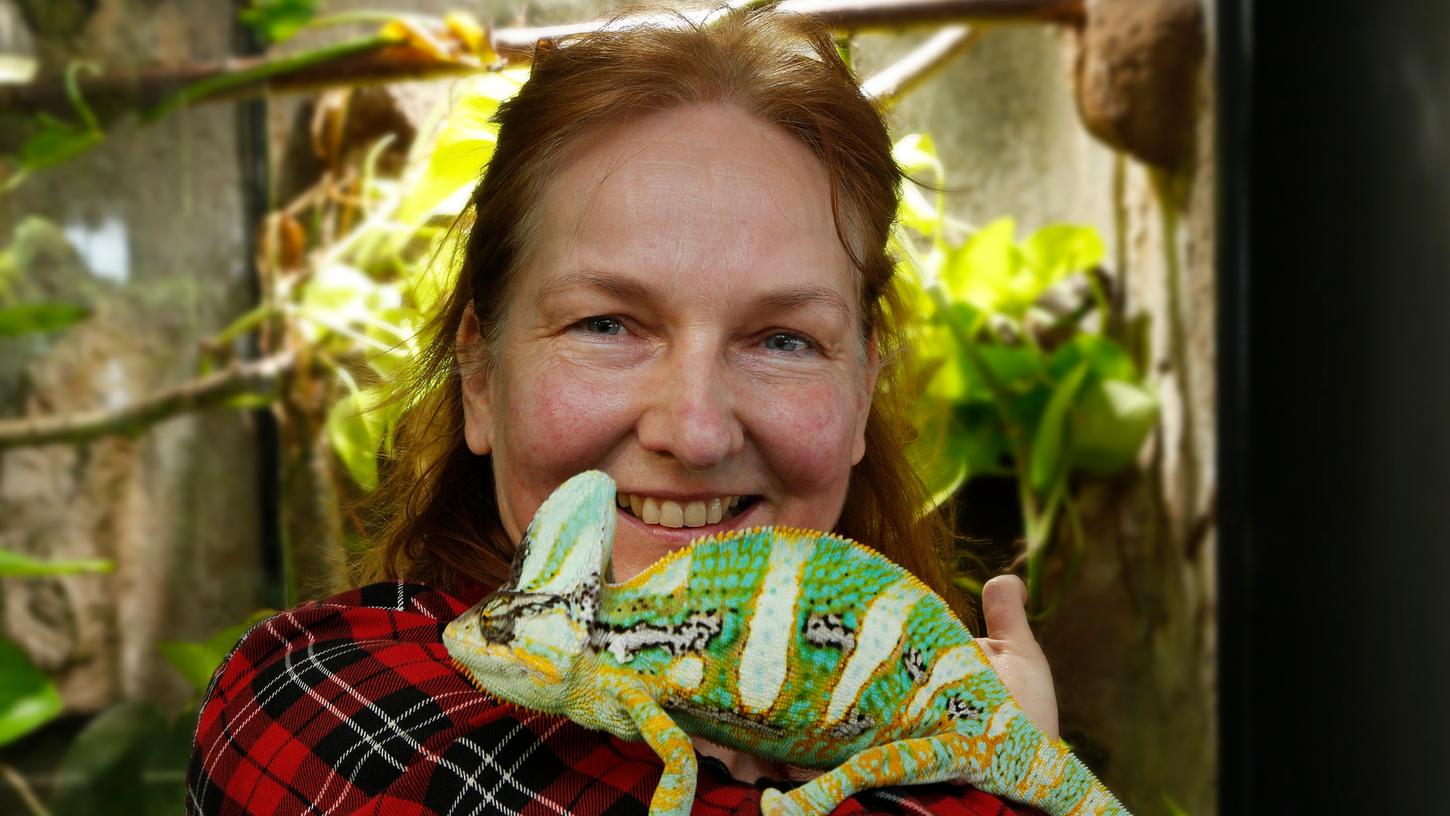 Im Regenwaldhaus: Annette Beyer vom Kindermuseum mit Chamäleon Joschi.
Im Regenwaldhaus: Annette Beyer vom Kindermuseum mit Chamäleon Joschi.