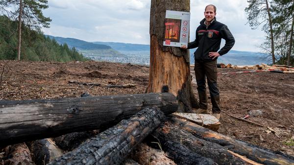 Mit Klimawandel drohen mehr Waldbrände