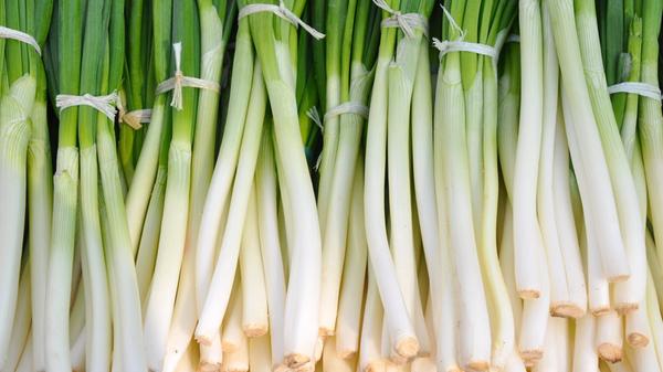 Frühlingszwiebeln sind kalorienarm und enthalten die gleichen gesunden Inhaltsstoffe wie große Zwiebeln, vor allem Vitamin B, C und E, Kalium und Kalzium, Eisen und Beta-Carotin.