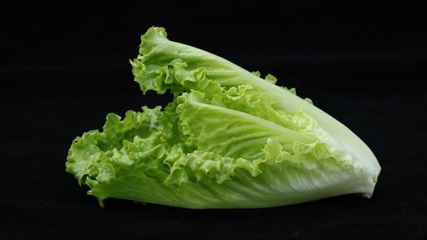 Obwohl Römersalat oder Romana-Salat zu rund 92 Prozent aus Wasser besteht, hat er durchaus beachtliche Mengen an gesunden Nährstoffen zu bieten. Vor allem mit Vitamin C kann das Blattgemüse Punkte sammeln: Römersalat enthält davon mit 24 Milligramm pro 100 Gramm mehr als jeder andere Salat. Außerdem haben im November Endiviensalat, Feldsalat, Radiccio und Rucolarauke Saison.