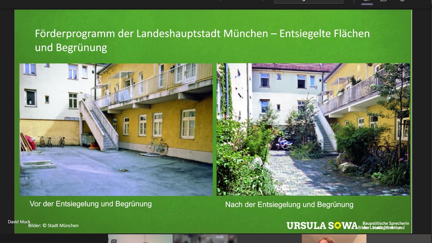 Bei der digitalen Informationsveranstaltung gab die Landtagsabgeordnete Ursula Sowa Impulse zu mehr Grün in der Stadt. Bei der digitalen Informationsveranstaltung gab die Landtagsabgeordnete Ursula Sowa Impulse zu mehr Grün in der Stadt.