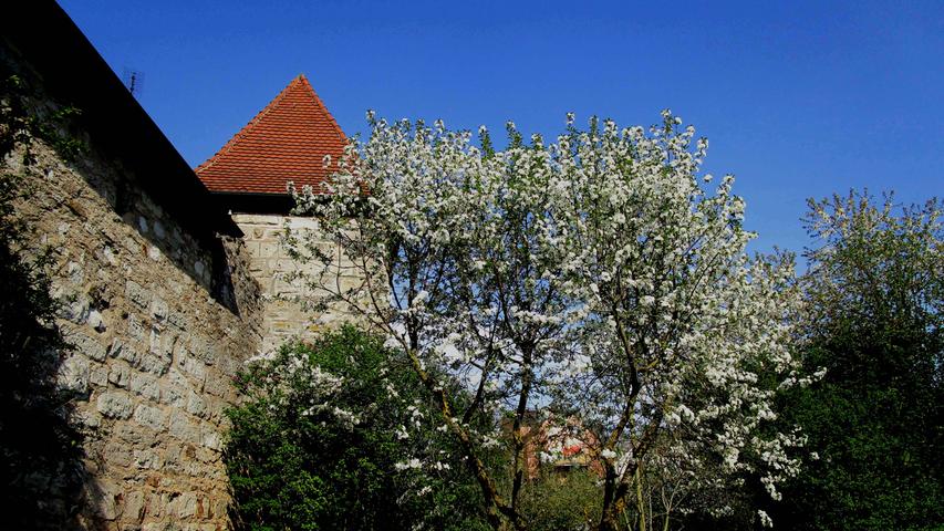Auch "Historische Grün- und Gartenanlagen" sowie Grünflächen im Wohnumfeld waren Thema beim Impulsabend der Stadtratsfraktion von Bündnis 90/Die Grünen. Auch "Historische Grün- und Gartenanlagen" sowie Grünflächen im Wohnumfeld waren Thema beim Impulsabend der Stadtratsfraktion von Bündnis 90/Die Grünen.
