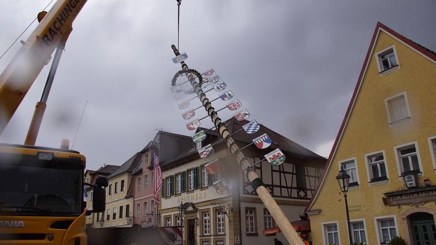 In Gunzenhausen steht der Maibaum bereits seit dem 29. April auf dem Marktplatz. 21,9 Meter misst der Stamm.