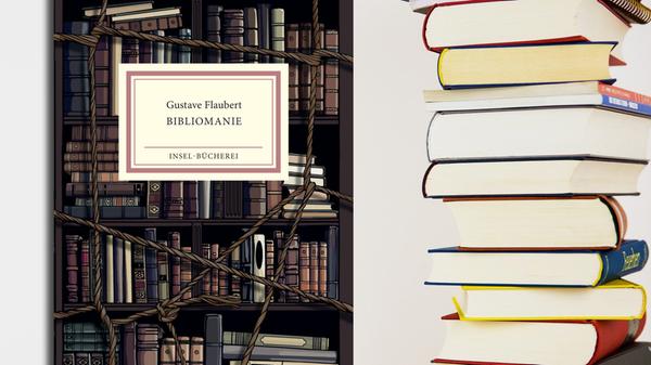 Wir kennen die Symptome. Volle Regale, Treppen, Nachtkästen: Bücher über Bücher, alle lebenswichtig! Die "Bibliomanie" ist im Fall von Gustave Flaubert aber noch viel extremer. Der Held seiner ersten publizierten Geschichte, Giacomo, ein bleicher junger Buchhändler in Barcelona, hängt an seinen kostbaren alten Handschriften wie ein Junkie, ein Vampir, ein Sexsüchtiger. Das hat unschöne, ja schauerromantische Folgen für ihn... Kaum zu glauben, dass Flaubert erst 15 war, als er die feurige, nun fein illustrierte Gruselmär schrieb! (Insel-Bücherei, 8 Euro) Wolf Ebersberger