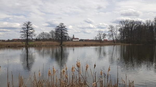 Der Blick von den Karpfenweihern in Kleingründlach auf Schloss und Kirche.