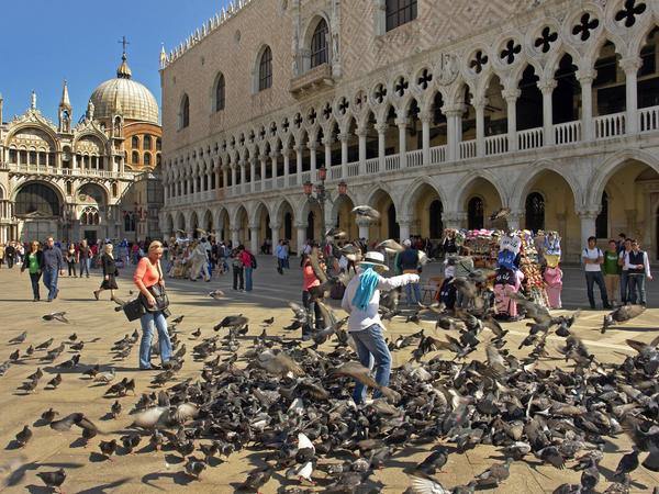Bereits seit Ende 2009 ist das Taubenfüttern in Venedig verboten.
