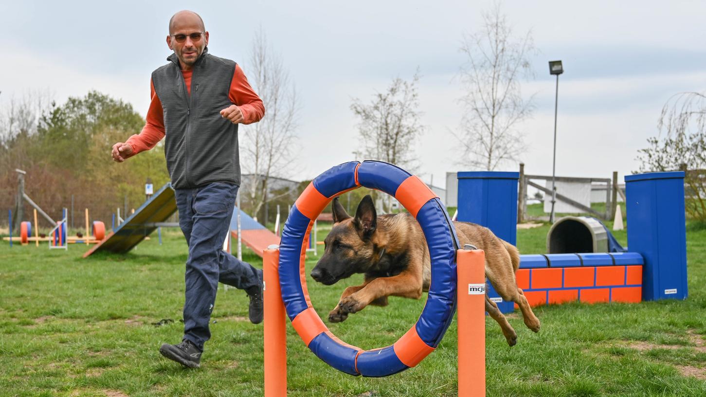 Hundefachwirt Joachim Füger von der Heidecker Hundeschule „Waldblick“ und einer seiner Hunde „Zippo“ beim Training auf seinem Übungsplatz im Heidecker Industriegebiet.
Hundefachwirt Joachim Füger von der Heidecker Hundeschule „Waldblick“ und einer seiner Hunde „Zippo“ beim Training auf seinem Übungsplatz im Heidecker Industriegebiet.