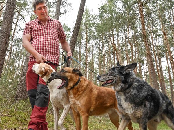 Sven Unkelbach von der „Hundeschule Rothsee“ mit seinen drei Hunden „Bello“, „Hedwig“ und „Rico“ beim Spazierengehen im Wald bei Brunnau, für das er derzeit mehr Zeit hat, als ihm lieb ist.  
