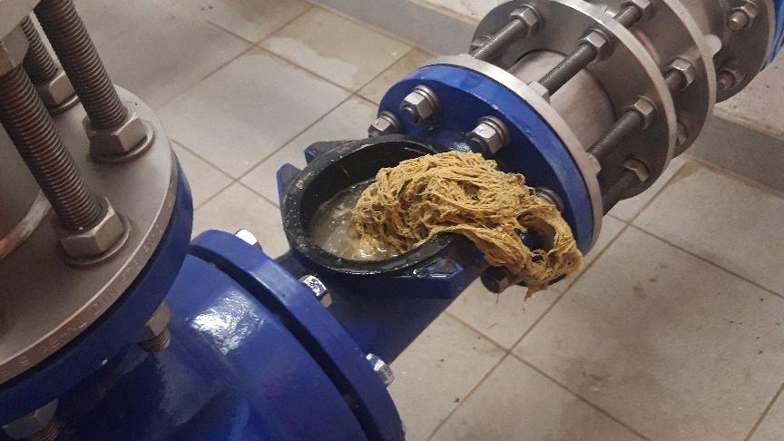Feuchttücher können zu Verstopfungen in Abwasserrohren führen.
Feuchttücher können zu Verstopfungen in Abwasserrohren führen.