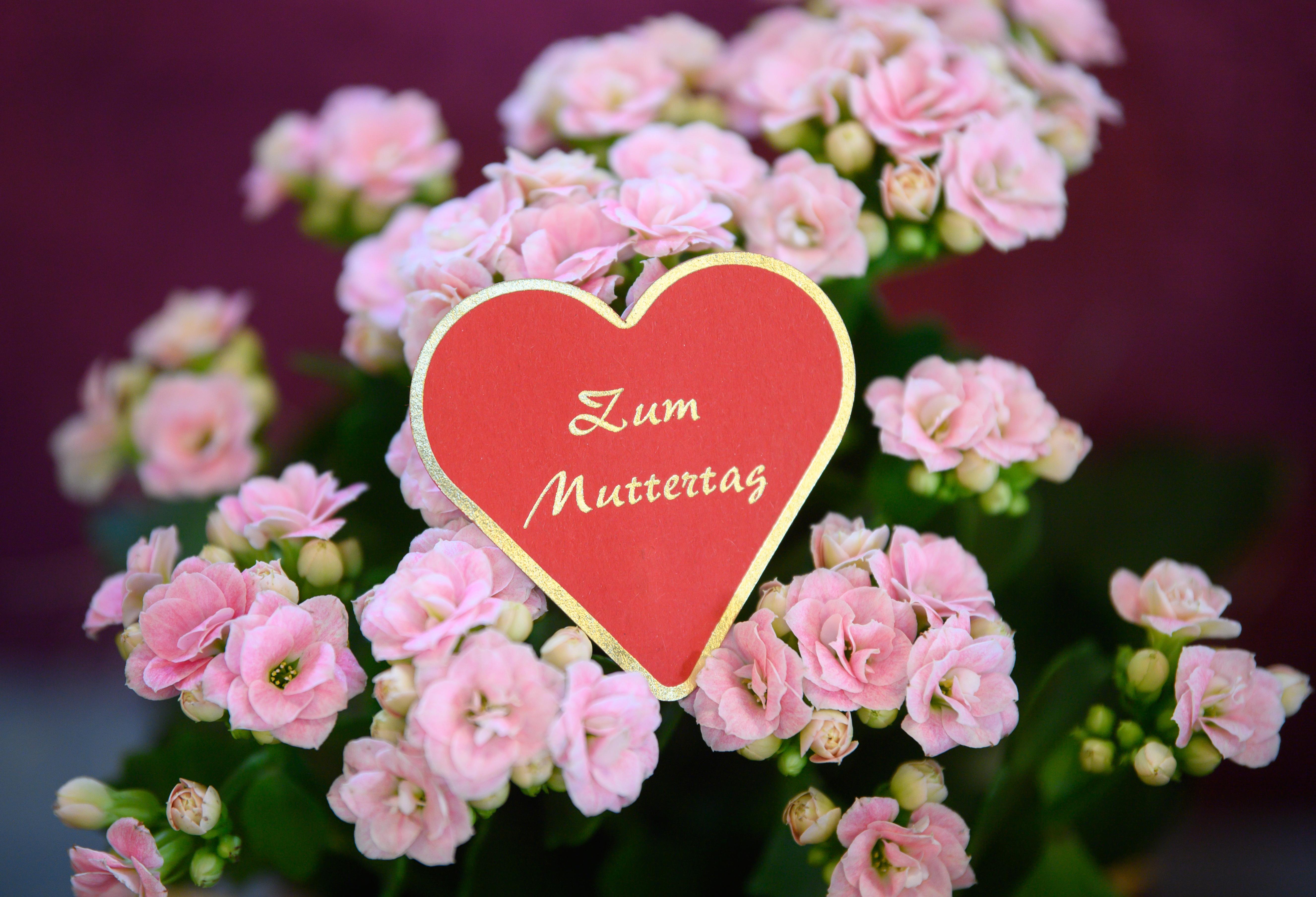 Muttertag 2022 Wann Wird Gefeiert Und Was Steckt Dahinter Region Nordbayern De