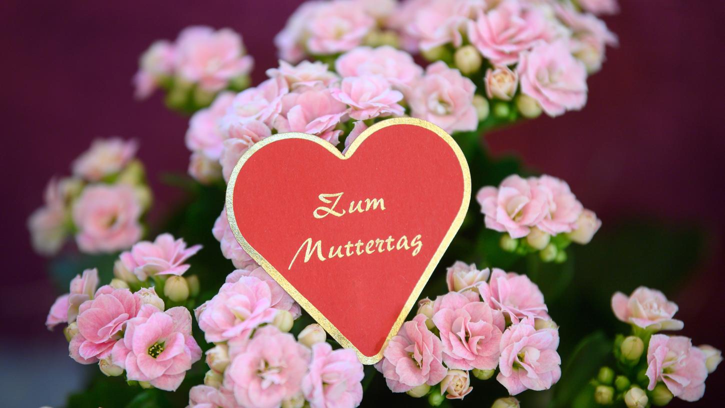 Blumen sind ein typisches Muttertagsgeschenk.
Blumen sind ein typisches Muttertagsgeschenk.
