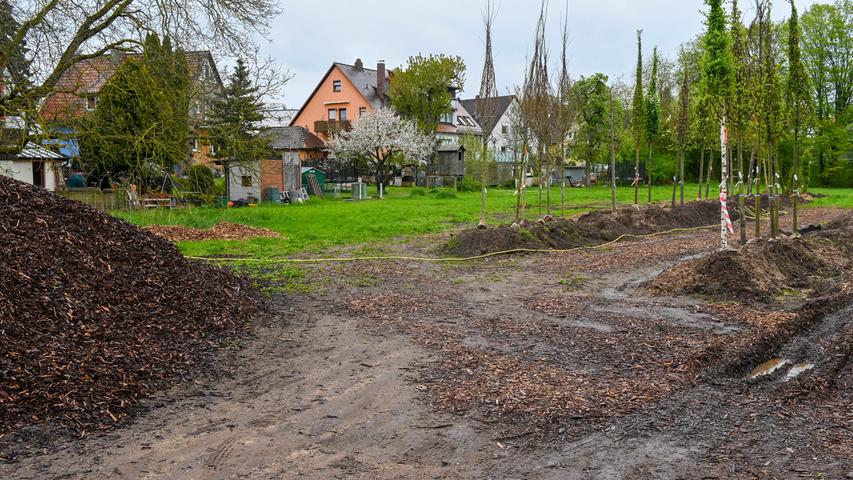Klimaneutral und mit Holz: So schaut der geplante Kita-, Hort- und Krippenbau in Forchheim aus