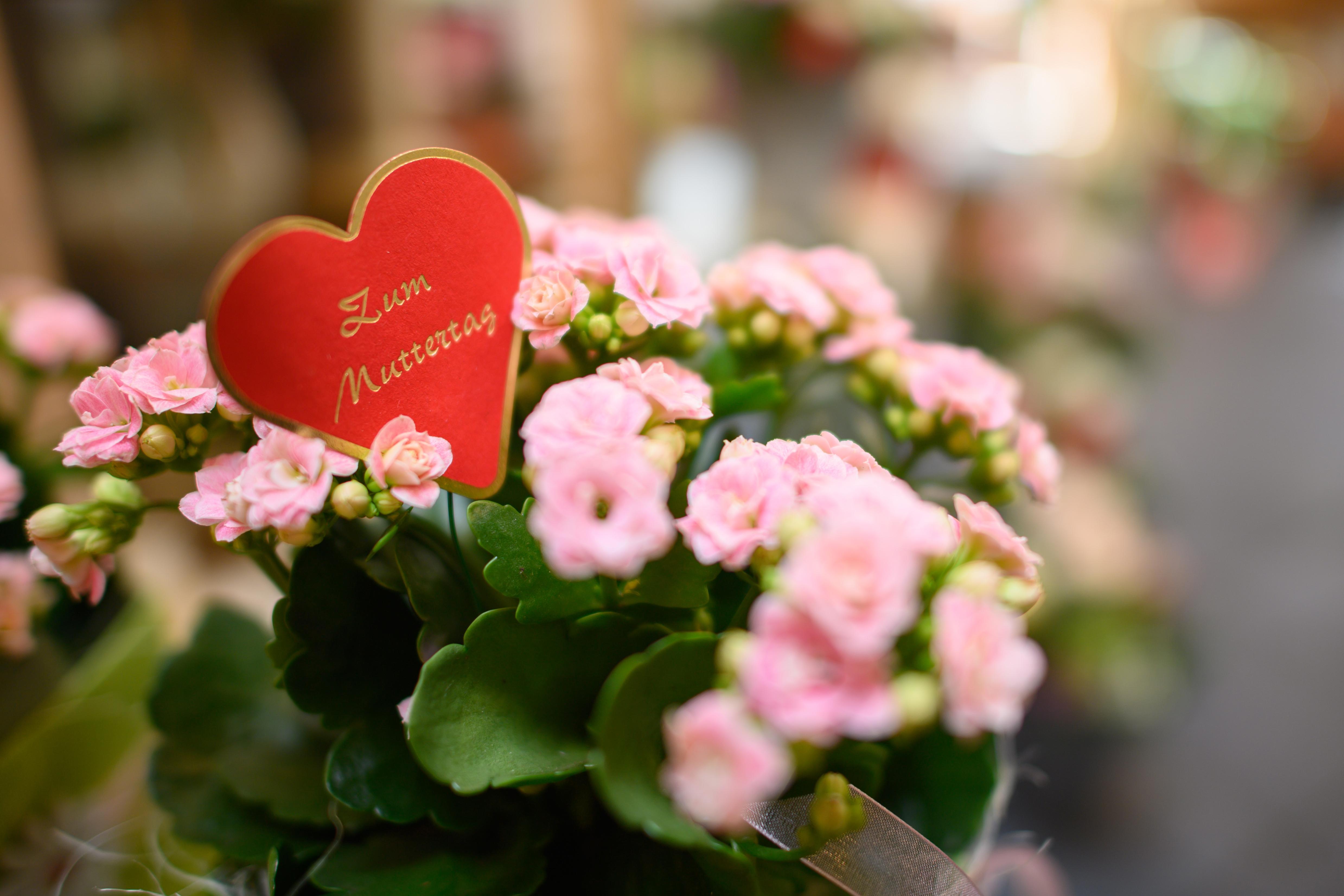 Symbolbild zum Muttertag