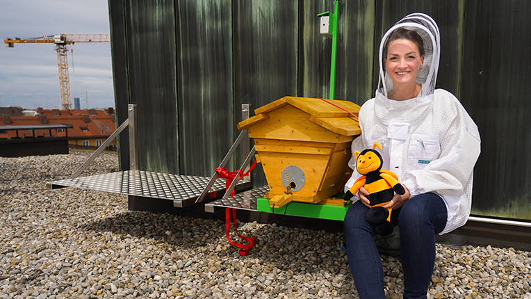 Auch auf dem Dach des Bayerischen Digitalministeriums tun jetzt 15.000 Bienen ihren Dienst (hier in Gesellschaft von Ministerin Judith Gerlach).