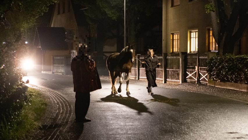 Oberasbach: Sieben Pferde büchsten nachts aus