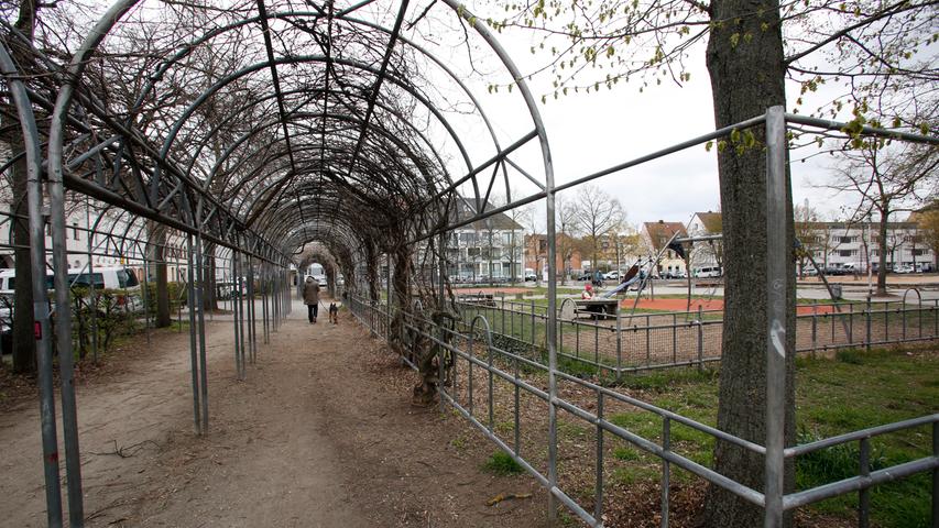 Die Rankhilfen werden zum Teil abgebaut. Ein Anwohner setzt sich für die Wiederverwendung ein.
Die Rankhilfen werden zum Teil abgebaut. Ein Anwohner setzt sich für die Wiederverwendung ein.