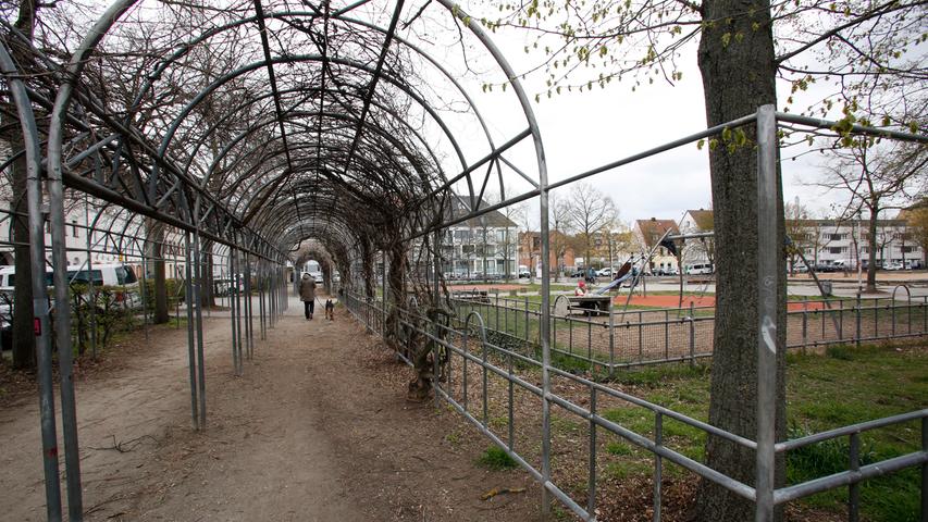 Die Rankhilfen werden zum Teil abgebaut. Ein Anwohner setzt sich für die Wiederverwendung ein. 