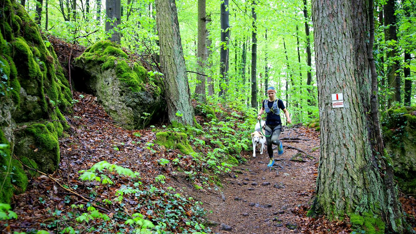 Giulia Schneider läuft am liebsten mit ihrer Hündin Nikita. Bei Bergab-Passagen muss der Husky hinter ihr bleiben, sonst wird es bei Wurzeln und rutschigem Laub zu gefährlich.
Giulia Schneider läuft am liebsten mit ihrer Hündin Nikita. Bei Bergab-Passagen muss der Husky hinter ihr bleiben, sonst wird es bei Wurzeln und rutschigem Laub zu gefährlich.