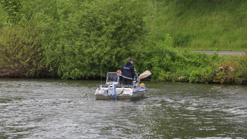 Bamberg: Reh fällt in den Kanal - Polizei rückt mit Boot zur Rettung aus