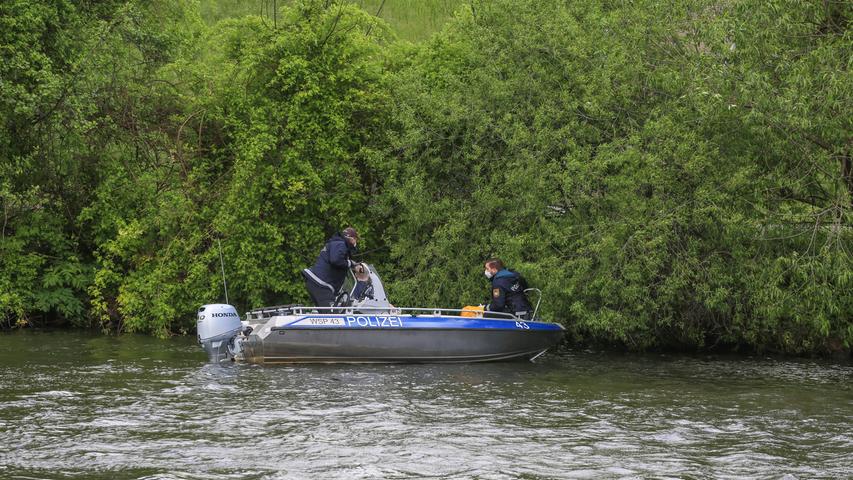 Bamberg: Reh fällt in den Kanal - Polizei rückt mit Boot zur Rettung aus