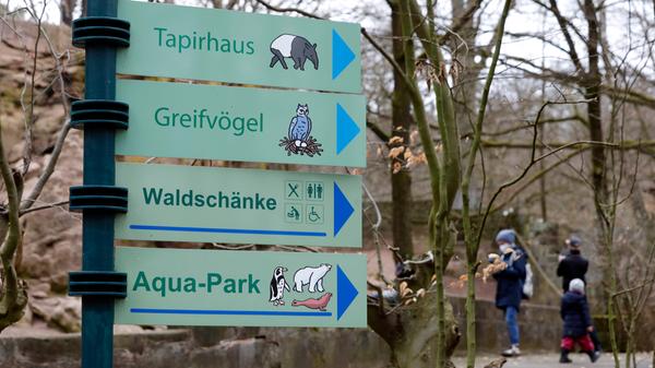Mit der 13. Bayerischen Infektionsschutzmaßnahmenverordnung von Samstag, 5. Juni, wird die generelle Maskenpflicht im Tiergarten der Stadt Nürnberg aufgehoben. Lediglich am Eingang, in den öffentlich zugänglichen Gebäuden und auf den Laufwegen der Gastronomiebetriebe müssen Besucherinnen und Besucher noch eine FFP2-Maske tragen. Weiterhin ist es für den Tiergartenbesuch zwingend notwendig, sich vorher kostenfrei online unter www.tiergarten.nuernberg.de zu registrieren.