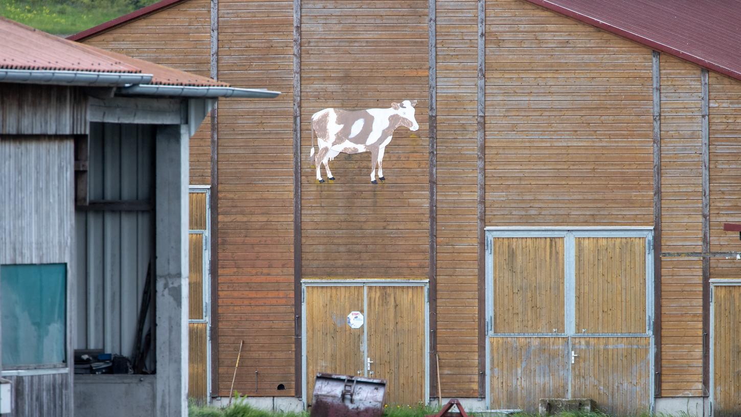 217 Rinder haben die Bedingungen in diesem Stall in Neusitz bei Rothenburg ob der Tauber nicht überlebt. 178 fand die Polizei schon tot vor, die restlichen 39 Tiere mussten wenig später getötet werden, weil sie in einem so schlechten Zustand waren. 217 Rinder haben die Bedingungen in diesem Stall in Neusitz bei Rothenburg ob der Tauber nicht überlebt. 178 fand die Polizei schon tot vor, die restlichen 39 Tiere mussten wenig später getötet werden, weil sie in einem so schlechten Zustand waren.