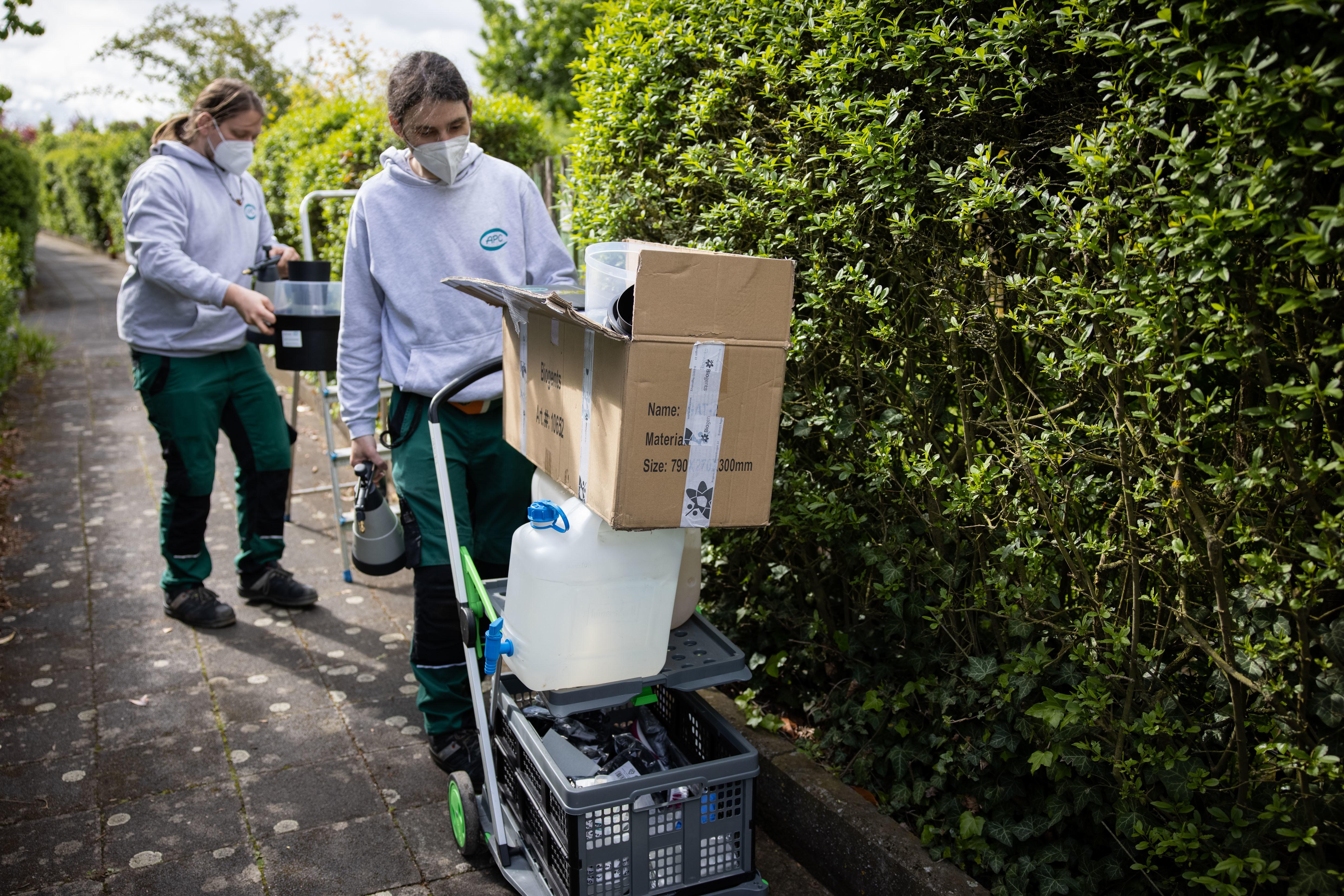 Der Tigermücke in Fürth geht es an den Kragen: Mitarbeiter der Firma APC suchen in Zweierteams nach möglichen Brutstätten der Insekten im Gartenbau- und Kleintierzuchtverein 1897.