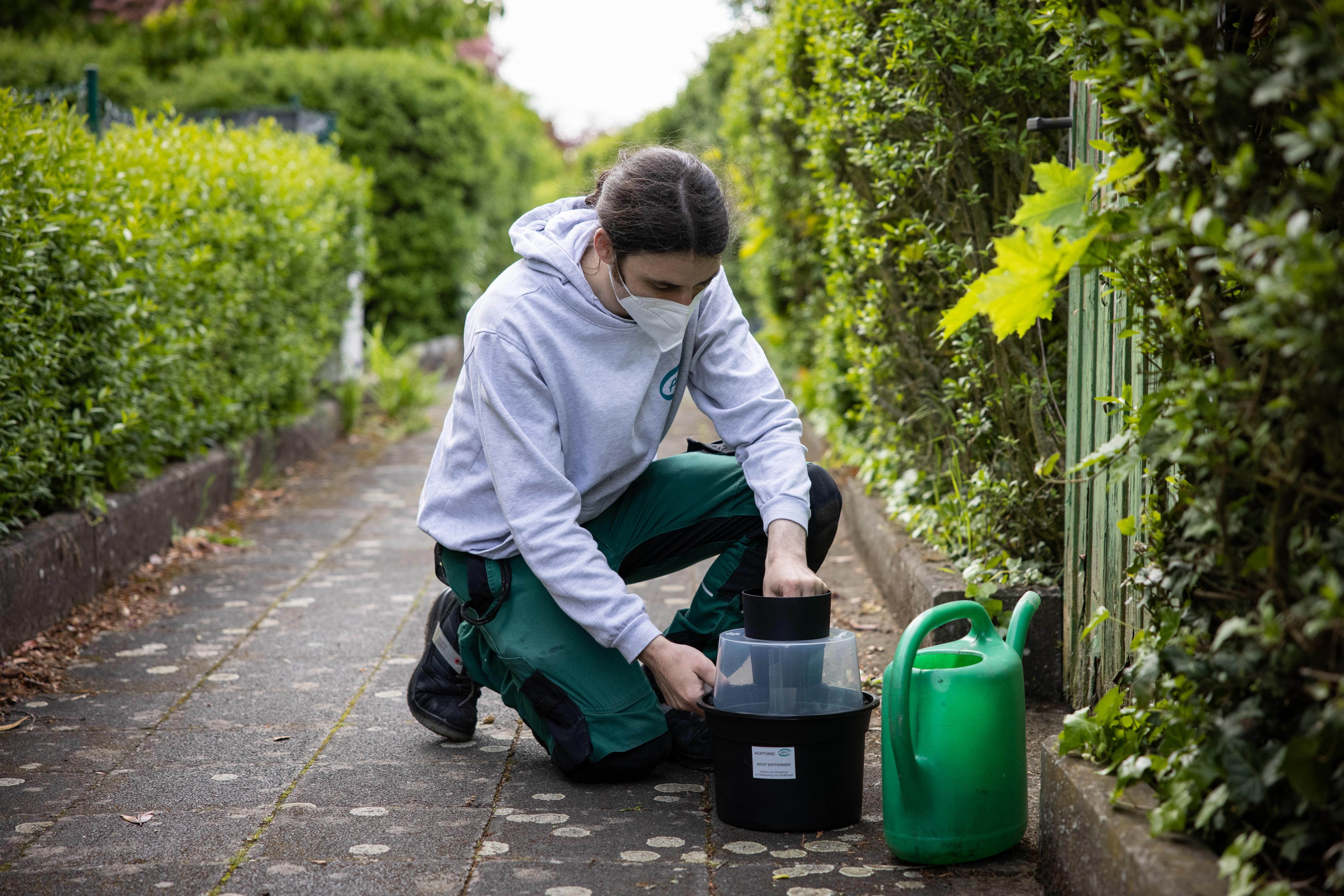 Der Tigermücke in Fürth geht es an den Kragen: Mitarbeiter der Firma APC suchen in Zweierteams nach möglichen Brutstätten der Insekten im Gartenbau- und Kleintierzuchtverein 1897.