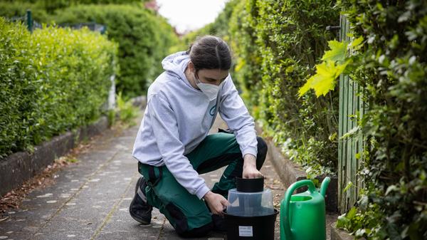 Der Tigermücke in Fürth geht es an den Kragen: Mitarbeiter der Firma APC suchen in Zweierteams nach möglichen Brutstätten der Insekten im Gartenbau- und Kleintierzuchtverein 1897.