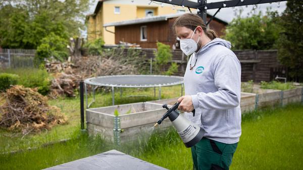 Der Tigermücke in Fürth geht es an den Kragen: Mitarbeiter der Firma APC suchen in Zweierteams nach möglichen Brutstätten der Insekten im Gartenbau- und Kleintierzuchtverein 1897.