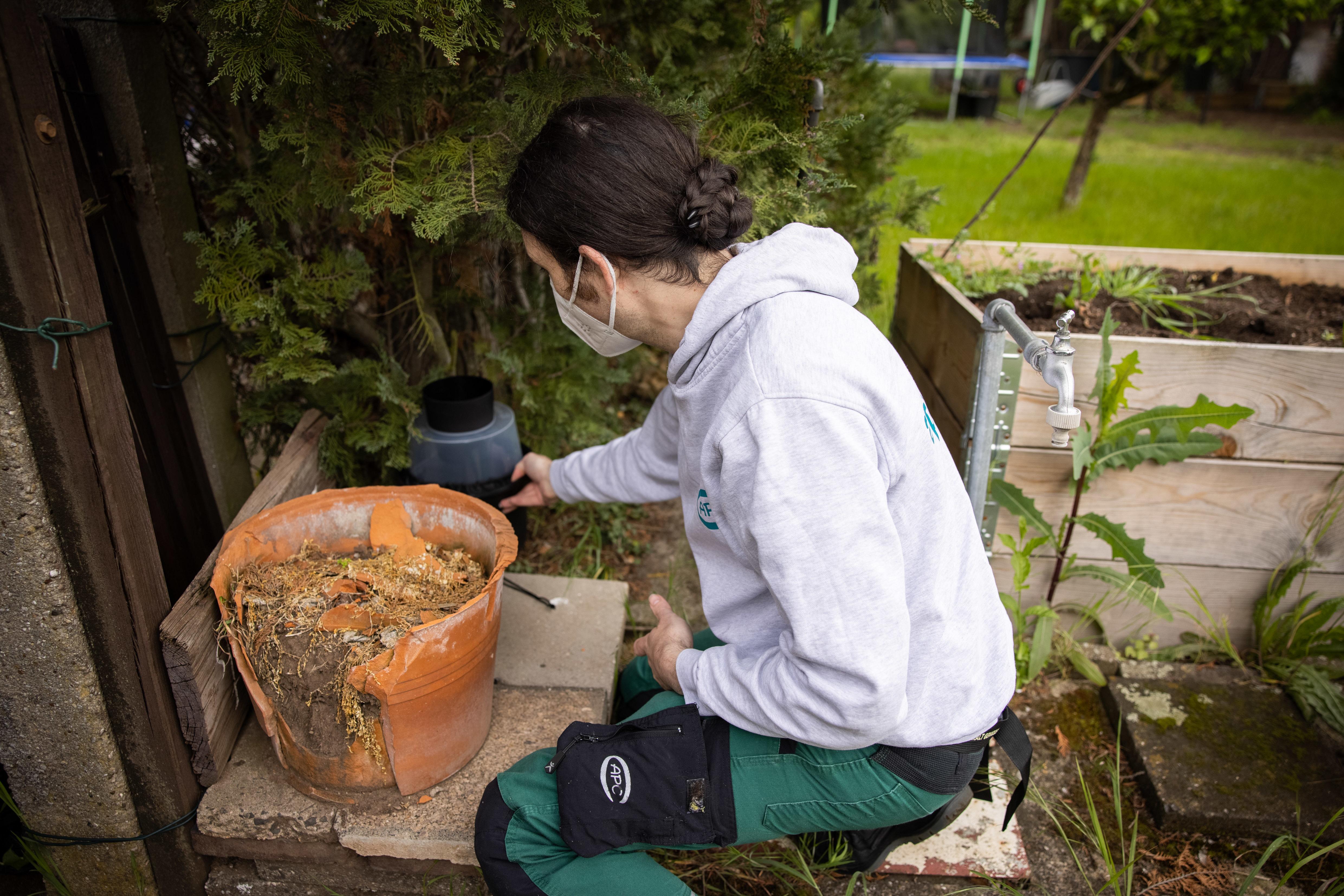 Der Tigermücke in Fürth geht es an den Kragen: Mitarbeiter der Firma APC suchen in Zweierteams nach möglichen Brutstätten der Insekten im Gartenbau- und Kleintierzuchtverein 1897.