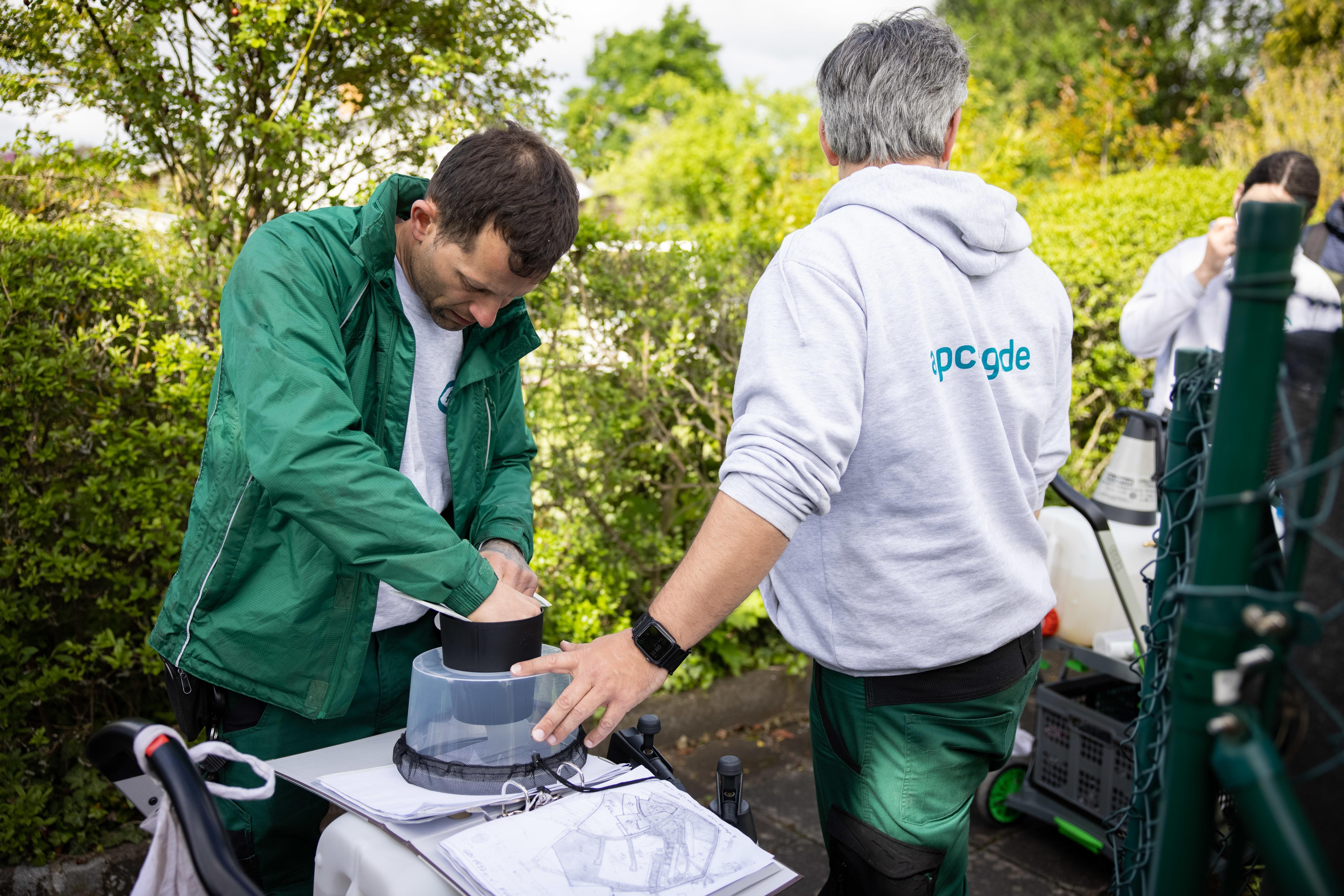 Der Tigermücke in Fürth geht es an den Kragen: Mitarbeiter der Firma APC suchen in Zweierteams nach möglichen Brutstätten der Insekten im Gartenbau- und Kleintierzuchtverein 1897.