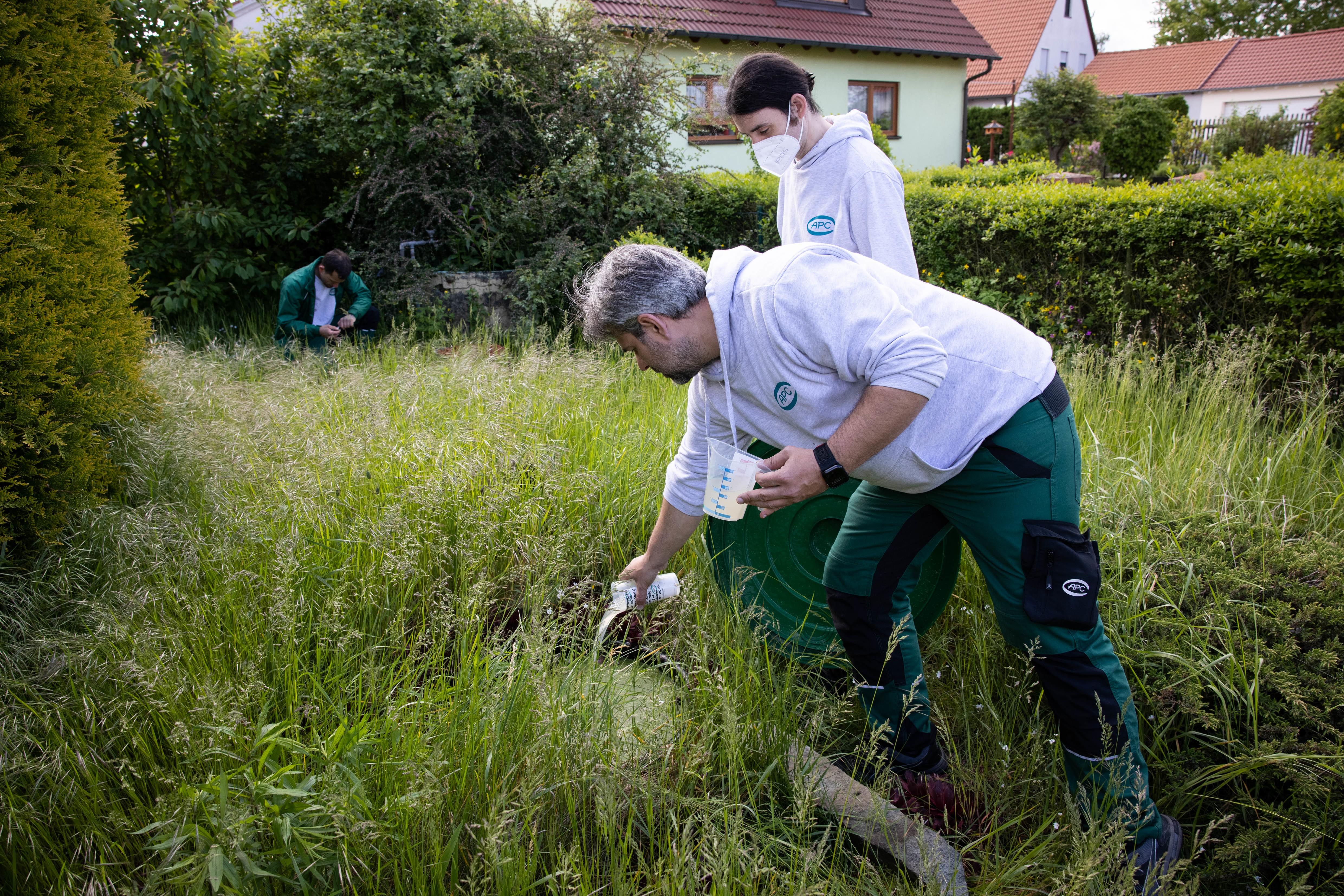 Der Tigermücke in Fürth geht es an den Kragen: Mitarbeiter der Firma APC suchen in Zweierteams nach möglichen Brutstätten der Insekten im Gartenbau- und Kleintierzuchtverein 1897.
