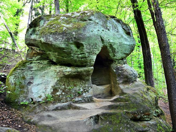 Das Waldstück vom Parkplatz Sklavensee in Richtung bis zum Jungfernsitz in Kalchreuth ist voller Überraschungen.
Das Waldstück vom Parkplatz Sklavensee in Richtung bis zum Jungfernsitz in Kalchreuth ist voller Überraschungen.