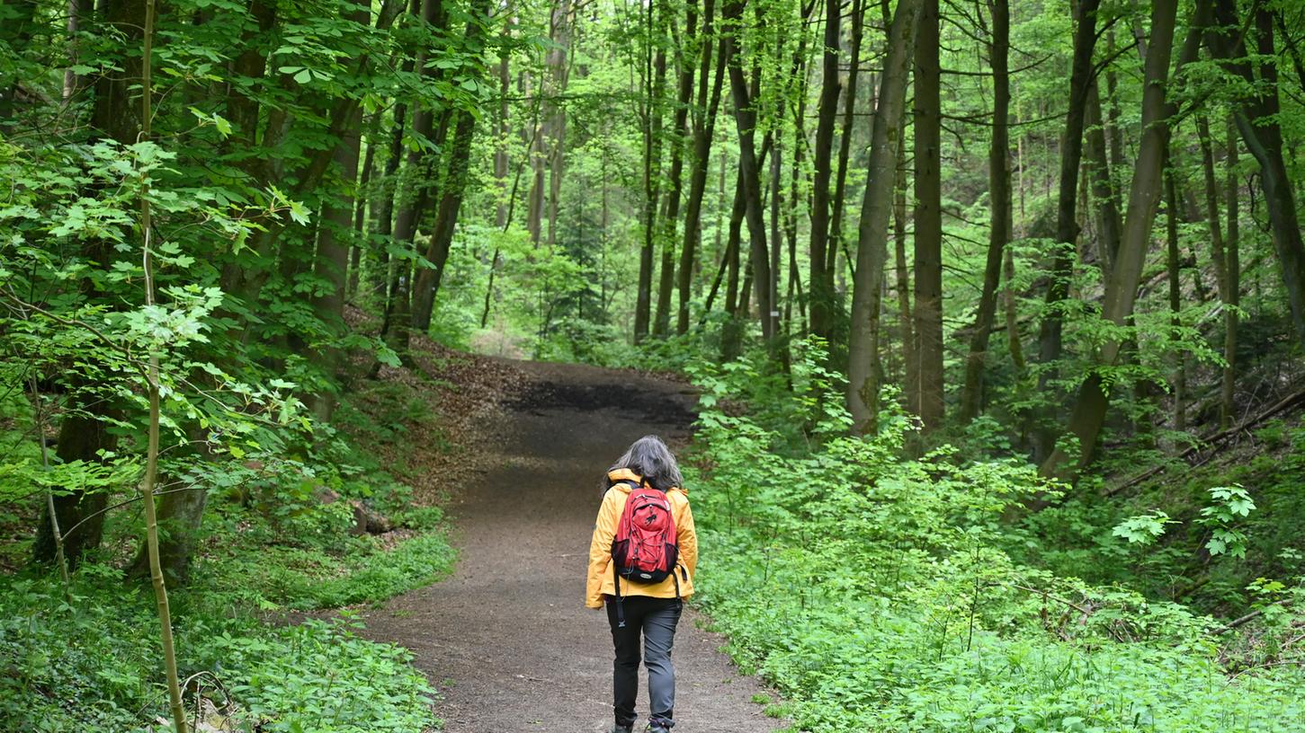 Spaziergänger genießen die Ruhe und die besondere Atmosphäre des Kalchreuther Waldes.
Spaziergänger genießen die Ruhe und die besondere Atmosphäre des Kalchreuther Waldes.