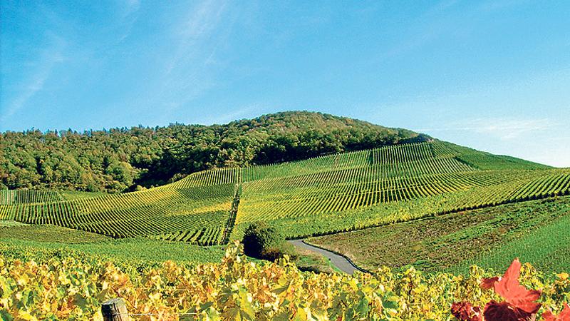Rund um den Schwanberg Rund um den Schwanberg