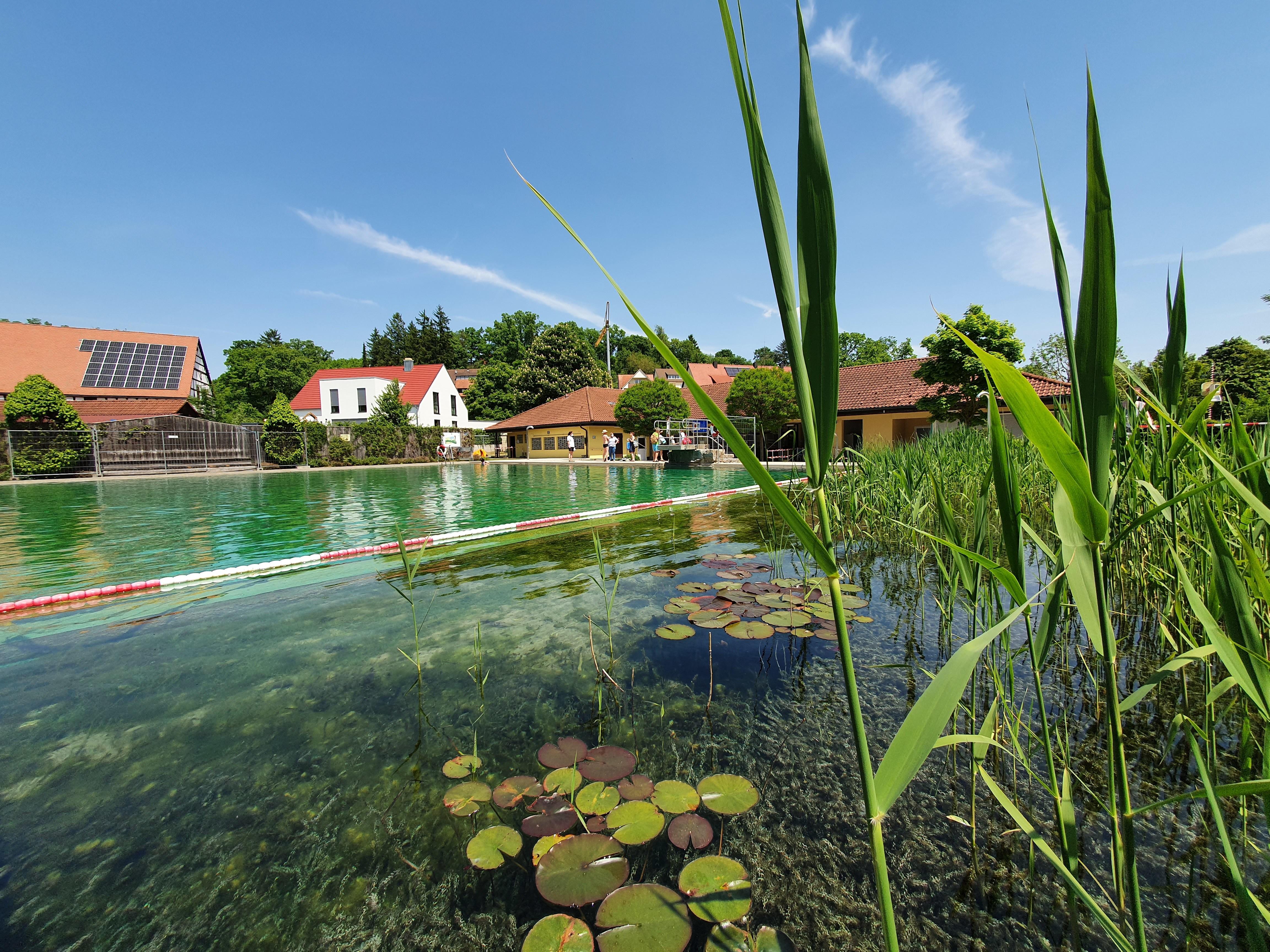 Auch die Uferbereiche sind naturnah gestaltet...